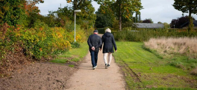Mit täglichen Spaziergängen Gesundheit und Stimmung stärken